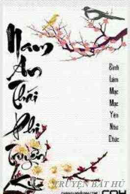 Nam An Thái Phi Truyền Kỳ